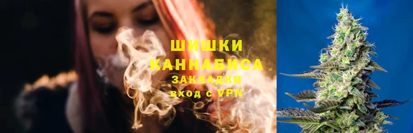прущая мука Верея