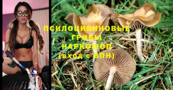 прущая мука Верея