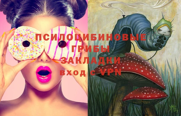 прущая мука Верея